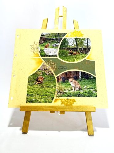 Scrapbooking New Delhi