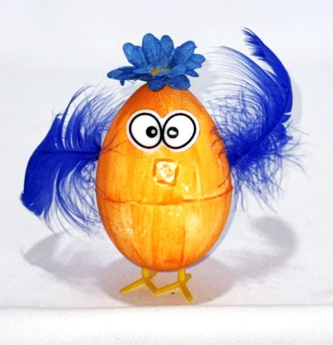 poussin trop mignon